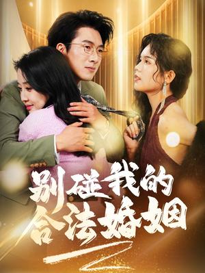 别碰我的合法婚姻&天大地大老婆最大（30集）（夸克网盘）封面图 - 都市爱情短剧