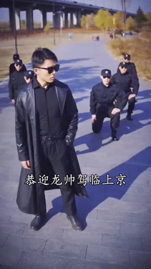 风云龙霸天下 《风云龙霸天下》短剧封面