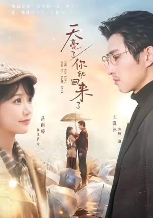 天亮了，你就回来了（63集）王凯沐＆岳雨婷（夸克网盘）封面图 - 短剧短剧