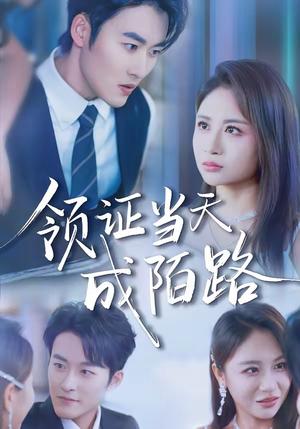 领证当天成陌路（39集）姜博龙＆李佳乐（夸克网盘）封面图 - 都市短剧