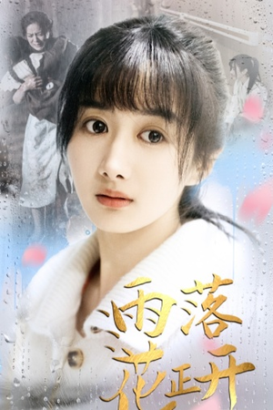 《雨落花正开》短剧封面