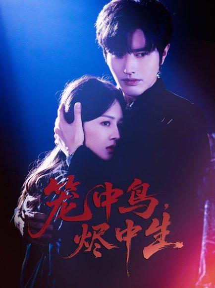 笼中鸟，烬中生封面图 - 爱情短剧