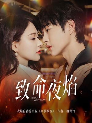 致命夜焰（80集）王轩&何适（夸克网盘）封面图 - 悬疑爱情短剧