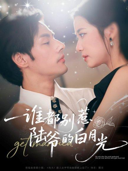 《谁都别惹陆爷的白月光》短剧封面