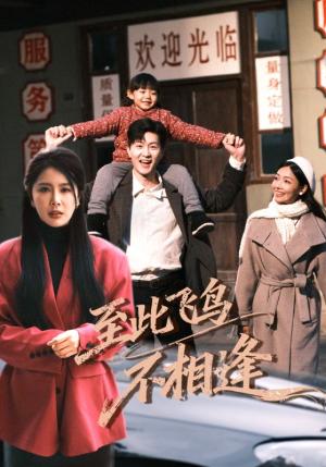 到此飞鸟不相逢（70集）王鹏&丁海霞（夸克网盘）封面图 - 短剧短剧
