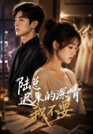 陆总,迟来的深情我不要 《陆总,迟来的深情我不要》短剧封面