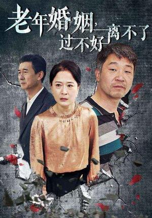 老年婚姻过不好离不了（50集）（夸克网盘）封面图 - 短剧短剧