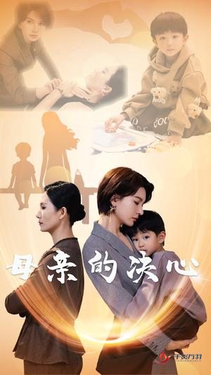 母亲的决心（31集）（夸克网盘）封面