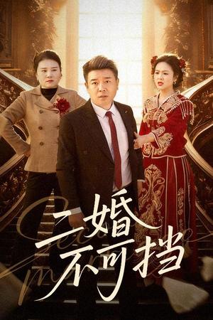 二婚不可挡（36集）任志宏&杨一（夸克网盘）封面图 - 都市短剧