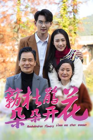 簕杜鹃花朵朵开（38集）（夸克网盘）封面图 - 乡村短剧