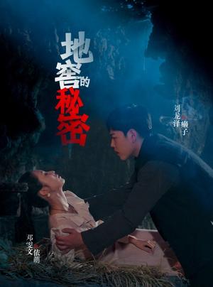 地窖的秘密（40集）邓雯文&杨泽琳（夸克网盘）封面