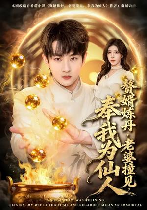 赘婿炼丹，老婆撞见，奉我为仙人（59集）童家豪&李伊琳（夸克网盘）封面图 - 玄幻短剧