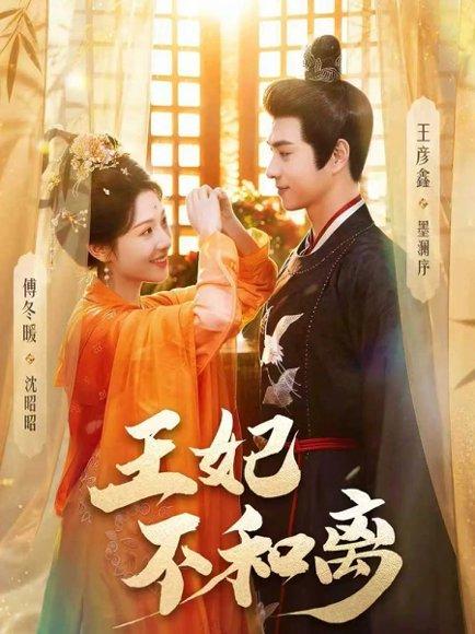 王妃不和离（80集）王彦鑫＆傅冬暖（百度网盘）封面图 - 古装短剧
