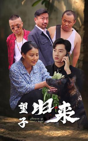望子归来（50集）（夸克网盘）封面图 - 短剧短剧