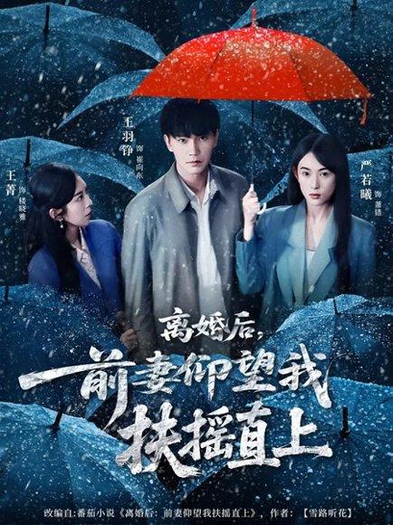 离婚后，前妻仰望我扶摇直上（84集）王羽铮＆严若曦封面图 - 都市短剧