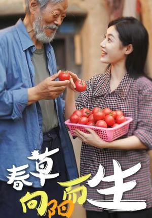 有妈的孩子（36集）（夸克网盘）封面图 - 短剧短剧
