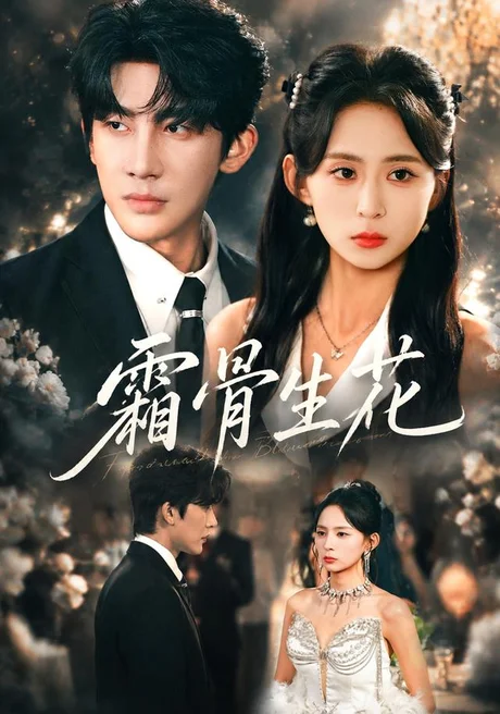《霜骨生花（64集）刘嘉晗＆张浩然 (2026)》短剧封面