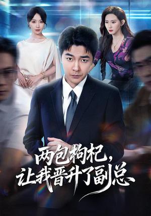 两包枸杞，让我晋升了副总（65集）董星辰＆芊亿＆孙兵＆逸枫（1080P）（夸克网盘）封面