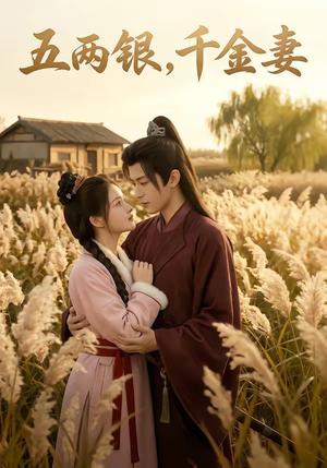五两银，千金妻（60集）（夸克网盘）封面图 - 短剧短剧