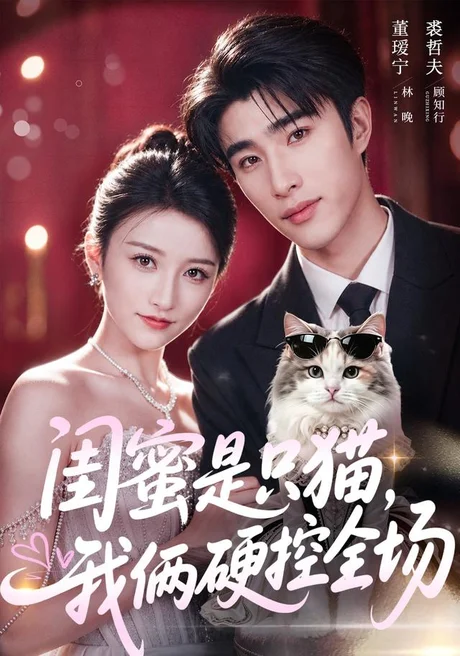 《闺蜜是只猫，我俩硬控全场（62集）裘哲夫＆董瑷宁（1080P）（夸克网盘）》短剧封面