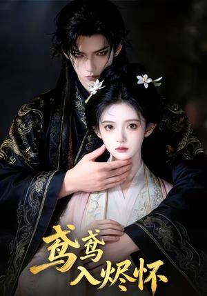 鸢鸢入烬怀（15集）（夸克网盘）封面图 - 短剧短剧