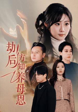 劫后方知养母恩＆春风拂旧怨（45集）王锦颖（夸克网盘）封面图 - 短剧短剧