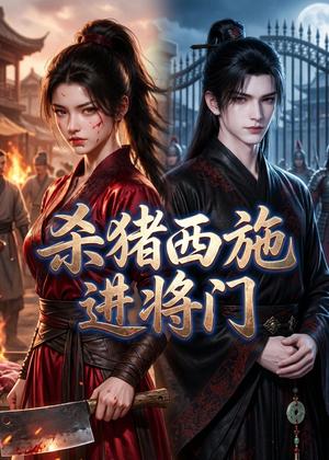 杀猪西施进将门（60集）（夸克网盘）封面