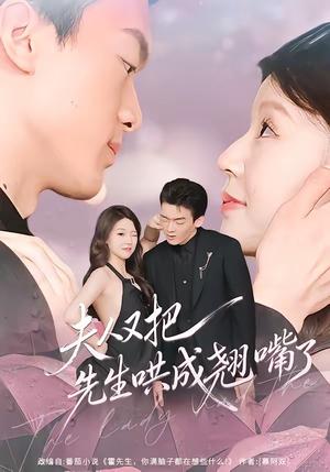 夫人又把先生哄成翘嘴了（60集）丁铭＆陈俊如（夸克网盘）封面