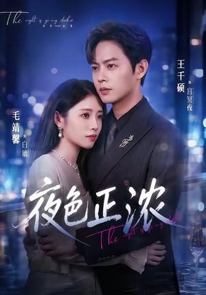 夜色正浓(65集)王千硕&毛靖馨(夸克网盘) 夜色正浓(65集)王千硕&毛靖馨(夸克网盘)封面