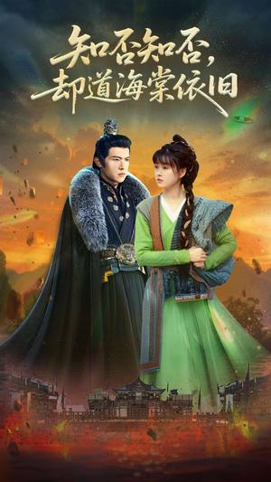知否知否却道海棠依旧（100集）邵之鹏&杨帆（夸克网盘）封面图 - 短剧短剧