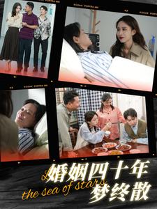 婚姻四十年梦终散（31集）崔佳宾（夸克网盘）封面图 - 家庭情感短剧