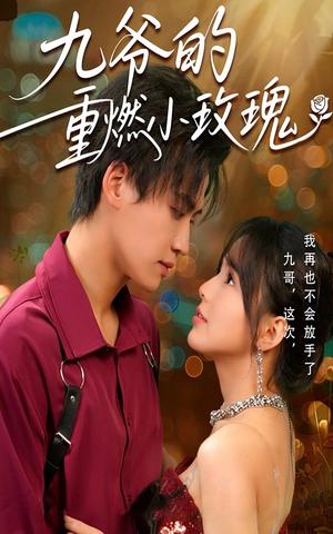 九爷的重燃小玫瑰（67集）罗琼&张洪鸣（夸克网盘）封面图 - 短剧短剧