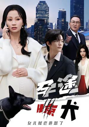 孕途惊犬，女儿奴老爸怒了（30集）钱怡＆彭梓洋（夸克网盘）封面图 - 家庭短剧