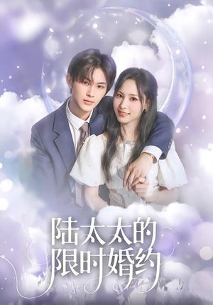 陆太太的限时婚约（60集）张亿＆蒋非琳（夸克网盘）封面图 - 短剧短剧