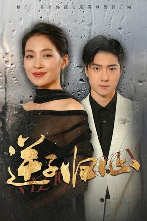 逆子归心（31集）（夸克网盘）封面