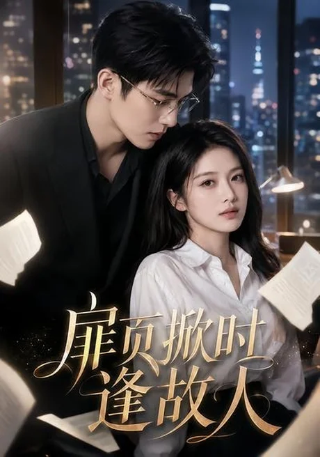 《扉页掀时逢故人（80集）（百度网盘）》短剧封面