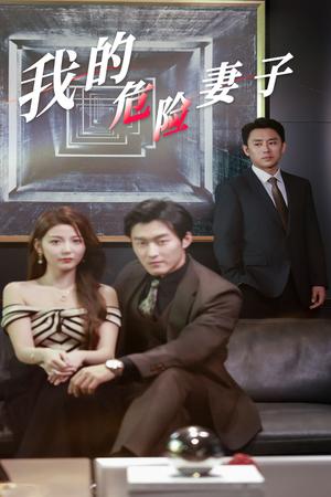 我的危险妻子（30集）（夸克网盘）封面