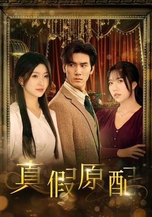《真假原配》短剧封面