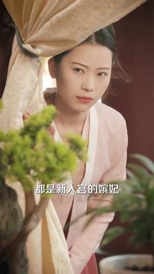 昭华乱（86集）李若洵＆岳雨婷（夸克网盘）封面图 - 古装短剧