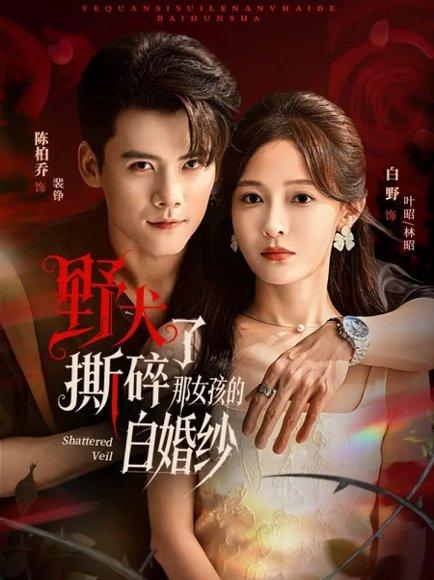 野犬撕碎了那女孩的白婚纱（78集）陈刚＆白野（百度网盘）封面图 - 都市爱情短剧
