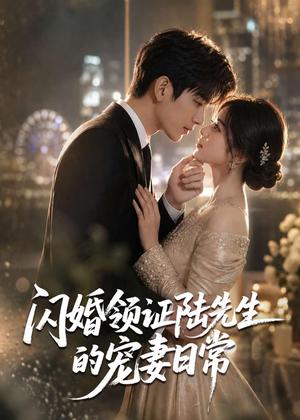 闪婚领证陆先生的宠妻日常(72集)(夸克网盘) 闪婚领证陆先生的宠妻日常(72集)(夸克网盘)封面