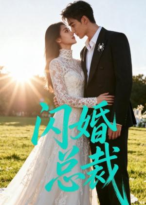 闪婚总裁（29集）（夸克网盘）封面