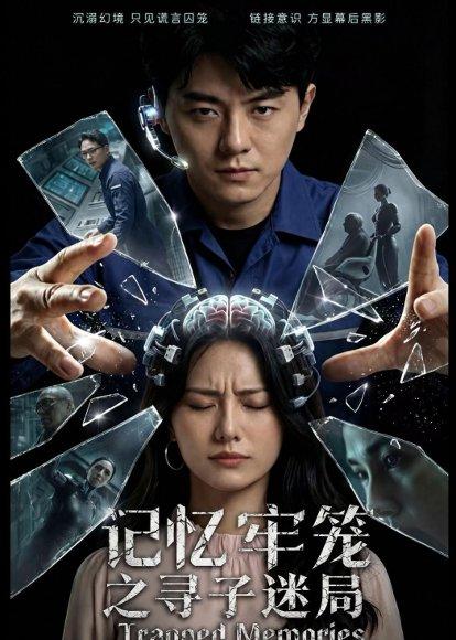 记忆牢笼之寻子迷局(56集)(百度网盘) 记忆牢笼之寻子迷局(56集)(百度网盘)封面