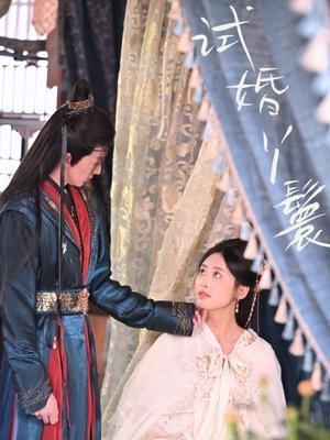 试婚丫鬟（76集）王小明＆伍昕宇（夸克网盘）封面图 - 短剧短剧