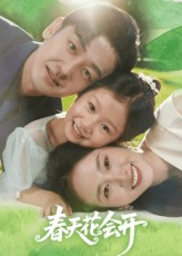 《春天花会开》短剧封面