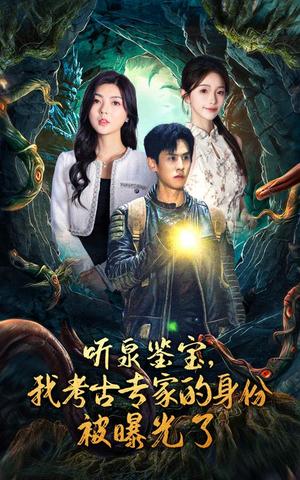 听泉鉴宝，我考古专家的身份被曝光了（62集）（夸克网盘）封面图 - 悬疑短剧