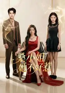 《桑小姐她不好惹（103集）（夸克网盘）》短剧封面
