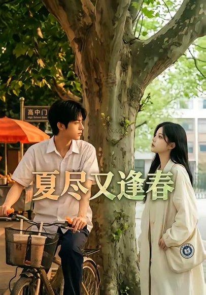 夏尽又逢春（26集）（百度网盘）封面图 - 爱情短剧