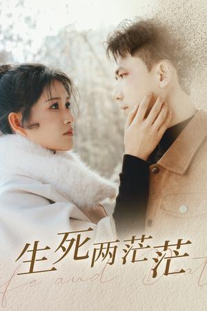 生死两茫茫（35集）远霞（夸克网盘）封面