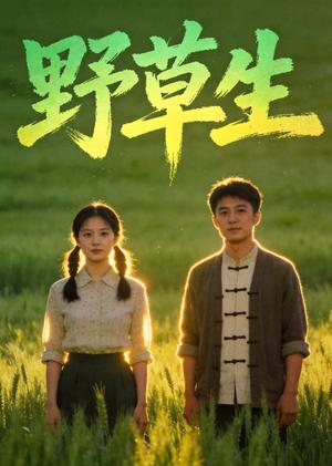 野草生（61集）Ai短剧（夸克网盘）封面